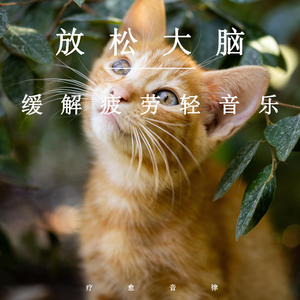 roblox大胸美女被❌网站
